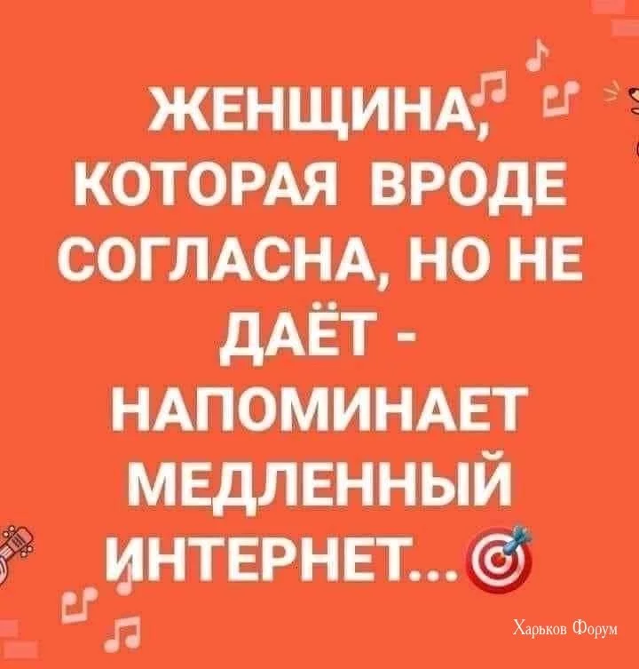 1f615b42f4cd168cd.webp