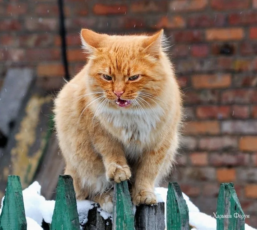 1f795bb4a80e2025.webp
