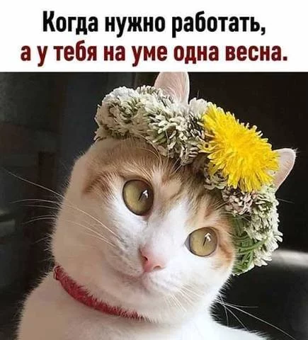 1fadhj.webp