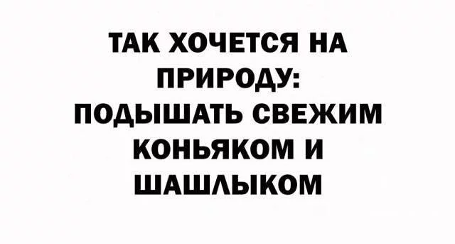 1fae6b167b57776f28e4f5.webp