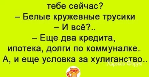 1fb1520fe419fa5f9d5232.webp
