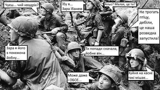 1fbgbh.webp
