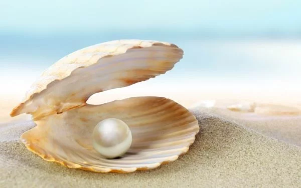 1fbjgf.webp