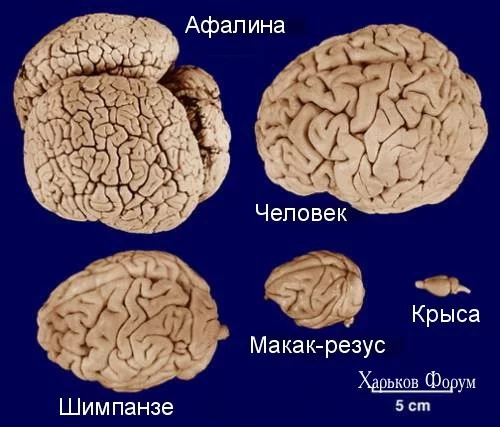 1fc2b5e50d5778ed1c0d.webp