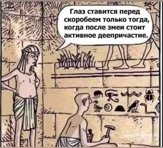 1fd074975c651b9ea7675d4a.webp