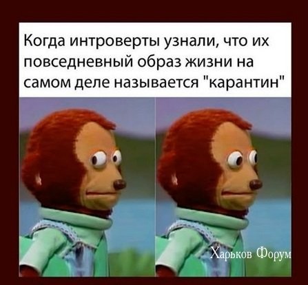 1fd2e0e88f20621eb4.jpg