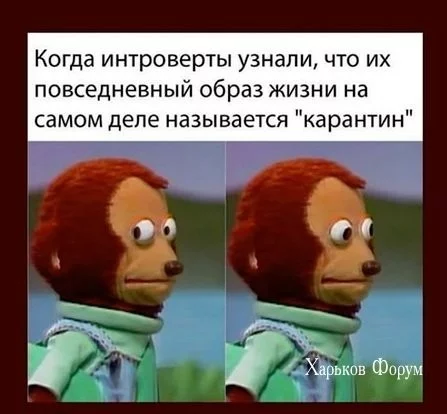 1fd2e0e88f20621eb4.webp