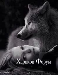 1fdacc6081cdadcd781.webp