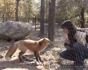 1fdbce.gif