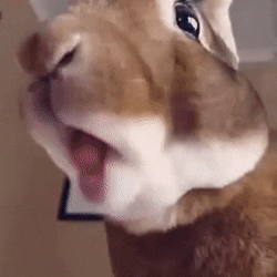 1fe300f2b4a16e82890293.gif