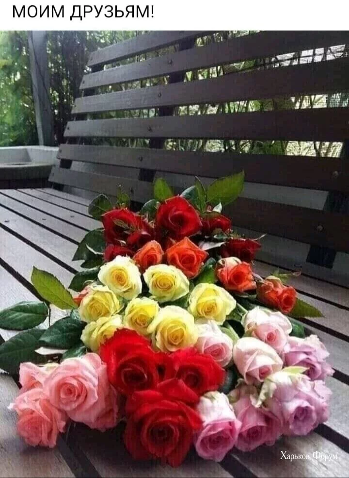1fec834137008a293e5ef81c.webp