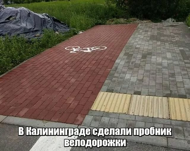 1fgfbf.webp