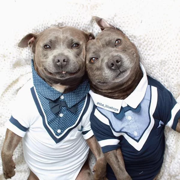 1fhegd.webp
