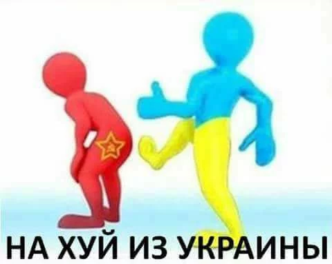 1fjfdd.webp