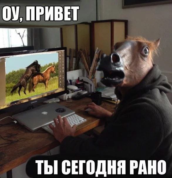 1fqai_iMR1c.webp