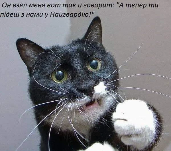 1gedgh.webp