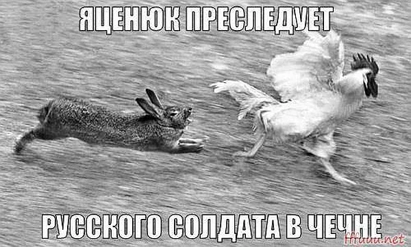 1gfhjh.webp