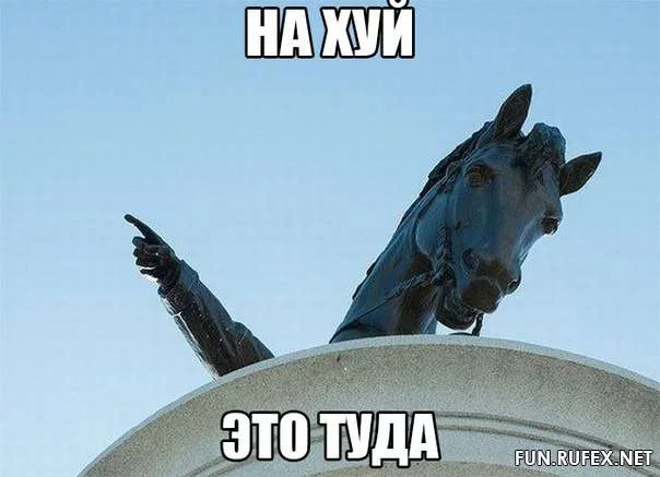 1hbjae.webp
