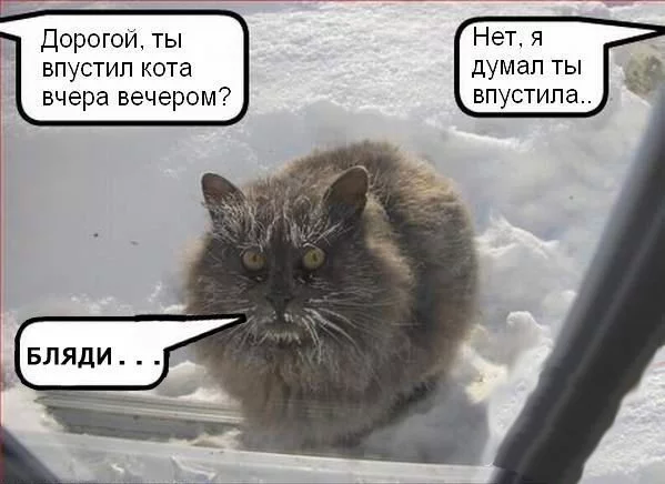 1hdaed.webp