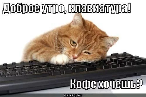 1hddjc.webp