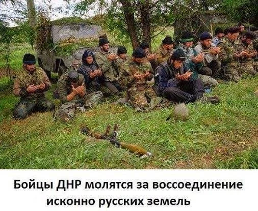 1hdjab.webp