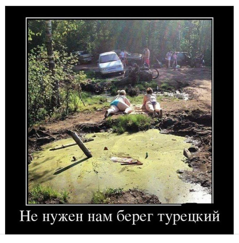 1hfjab.webp