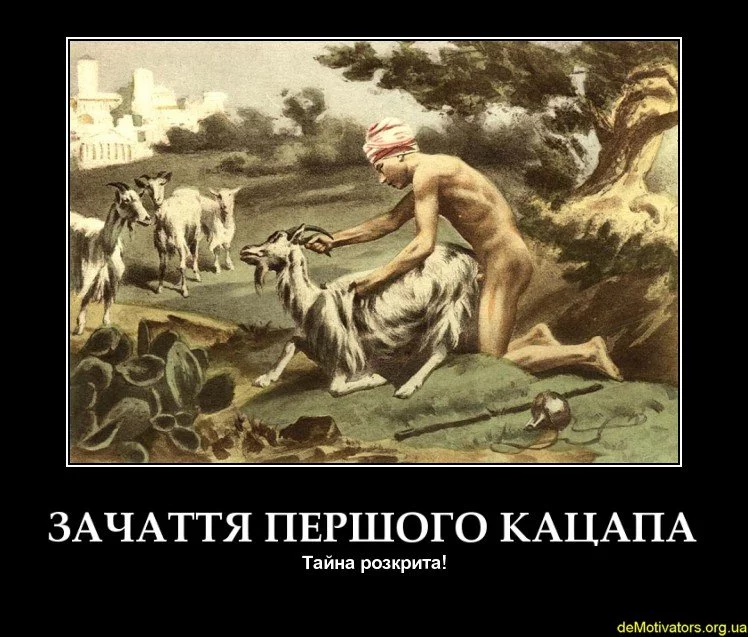 1hghdg.webp