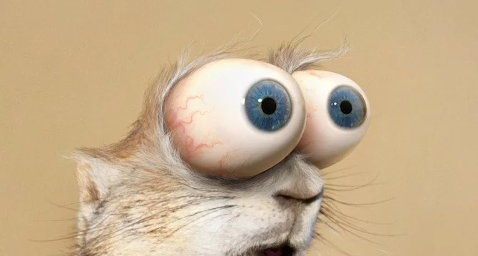 1hhehc.webp