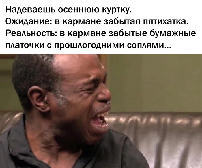 1hjbgc.webp