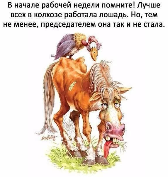 1hjdjd.webp