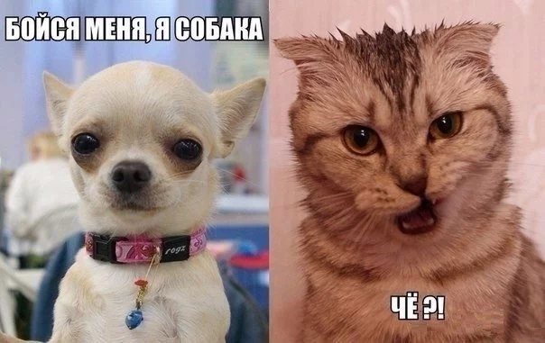 1hvOQMpFx5A.webp