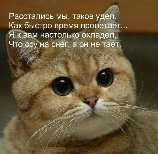 1jbhfg.webp