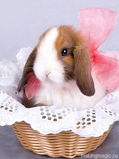 1jdhgf.webp