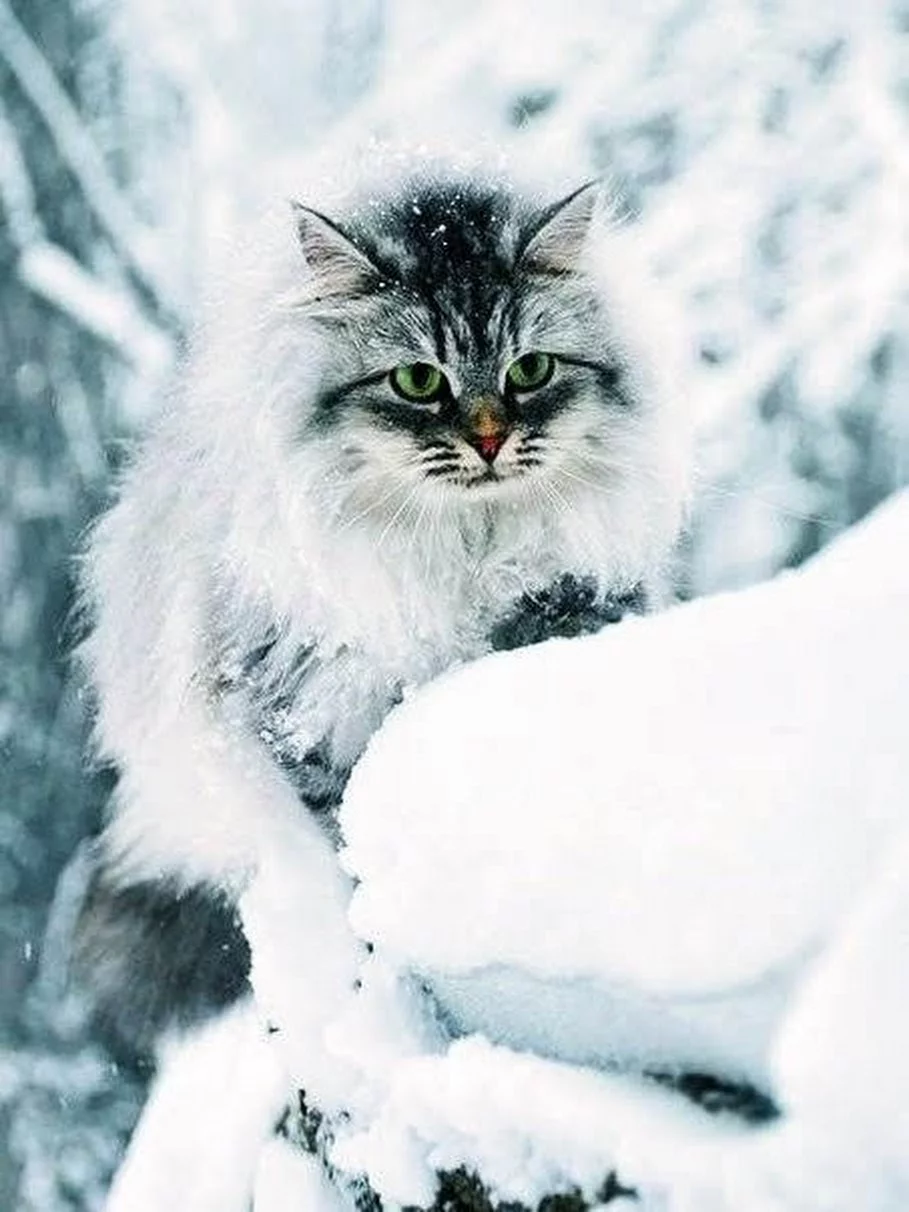 1jejhb.webp