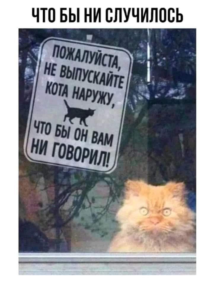 1jejjg.webp