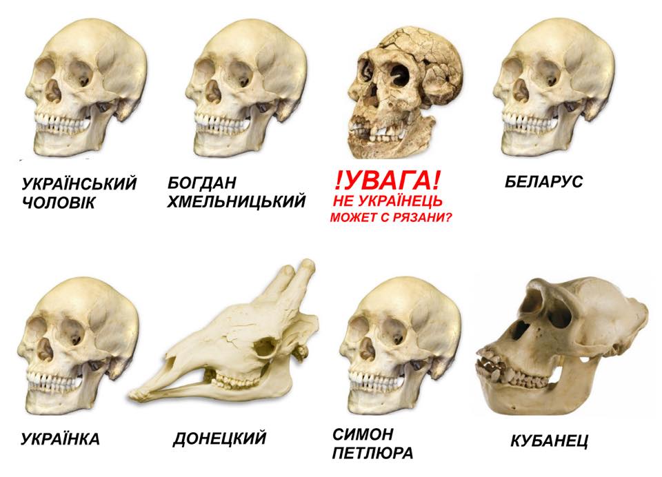 1jfbgh.jpg