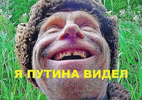 1jgega.webp