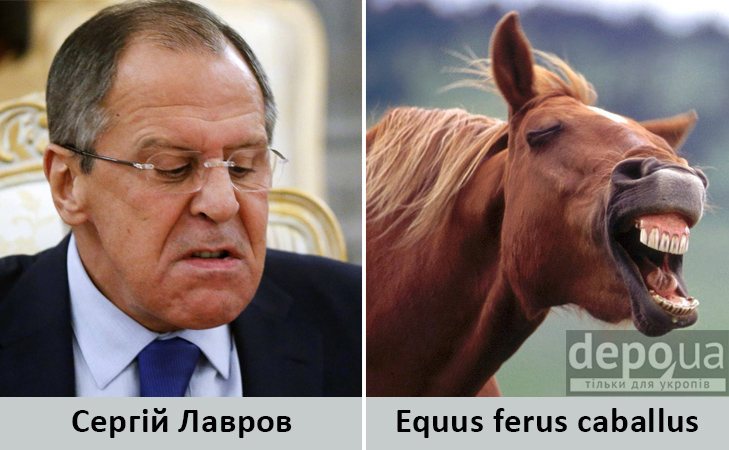 1Lavrov_horse.jpg