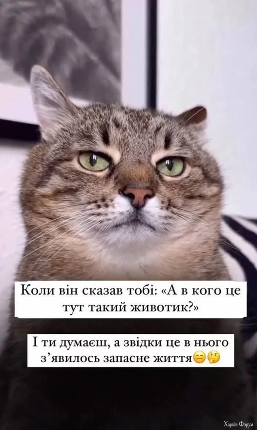 1MIkEc0BcFi0Nto&_nc_zt=23&_nc_ht=scontent.fiev28-1.webp
