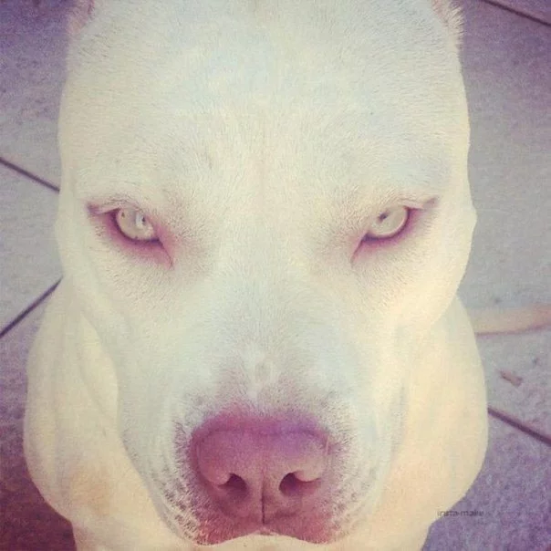 1PlEh3zE4ng.webp