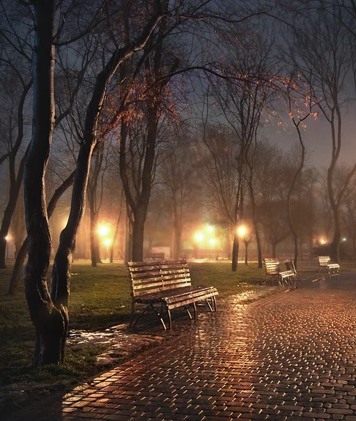 1qg35srNFoM.webp