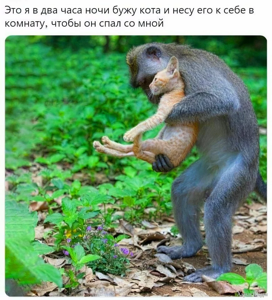 2 часа ночи.webp