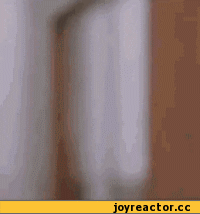 2%D0%B5%D0%B7%D0%B4%D0%B5%D1%85%D0%BE%D0%B4-237731.gif