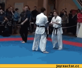 2%D0%B5%D1%80%D1%82%D1%83%D1%88%D0%BA%D0%B0-613354.gif