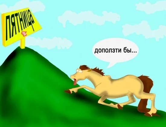 2.webp