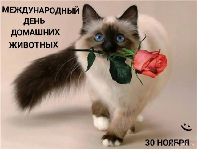 2.webp