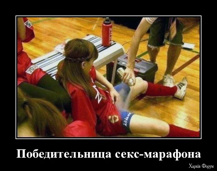 2.webp