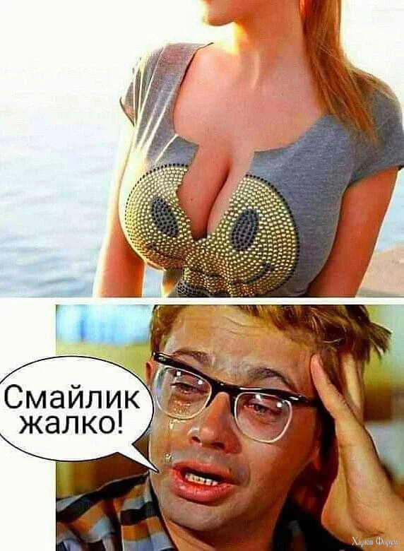 2.webp