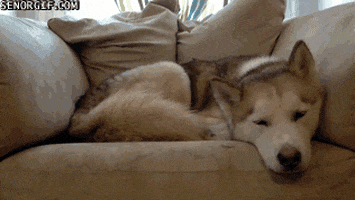 200.gif