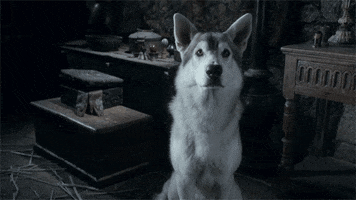 200.gif